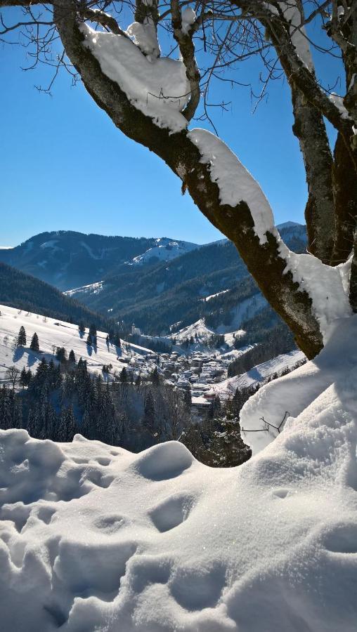 Das Hochkonig Dienten am Hochkönig Exterior foto