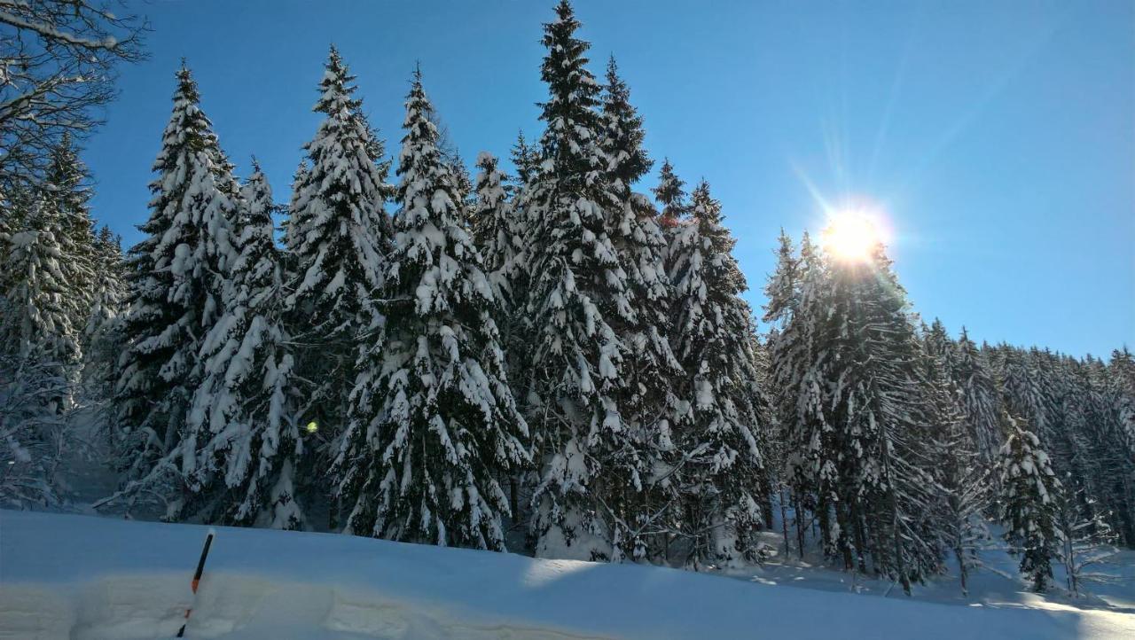 Das Hochkonig Dienten am Hochkönig Exterior foto