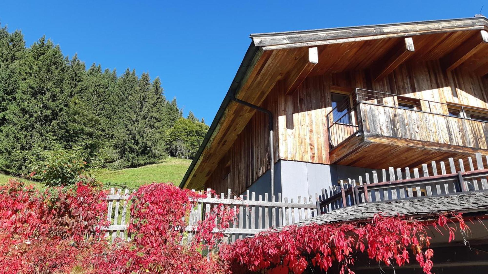 Das Hochkonig Dienten am Hochkönig Exterior foto