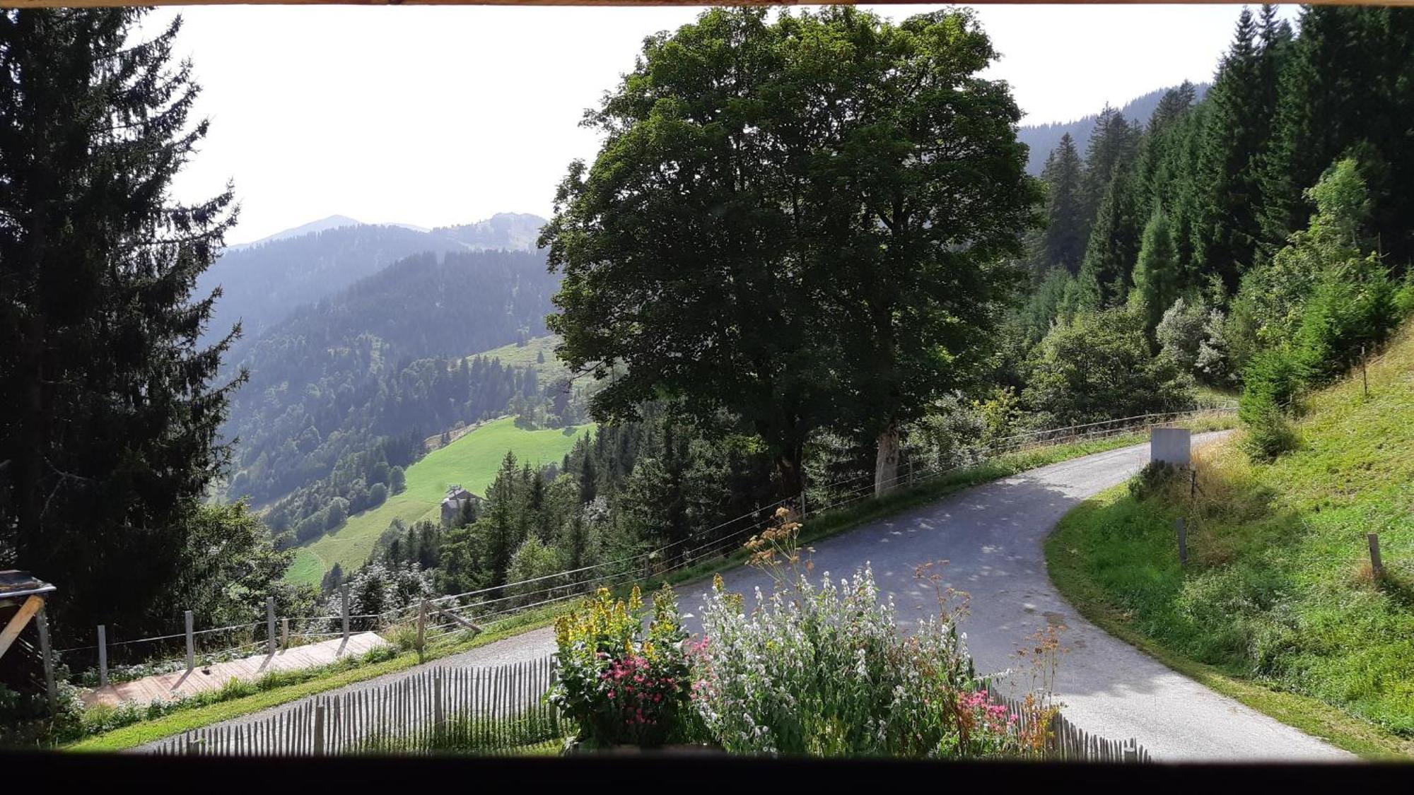 Das Hochkonig Dienten am Hochkönig Exterior foto