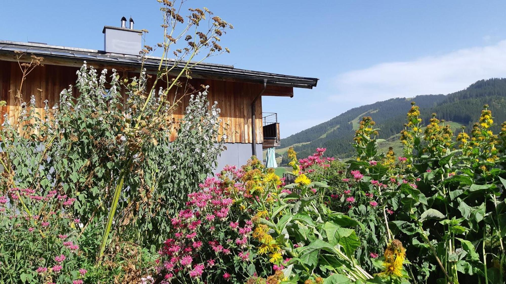 Das Hochkonig Dienten am Hochkönig Exterior foto