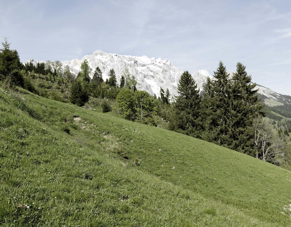 Das Hochkonig Dienten am Hochkönig Exterior foto