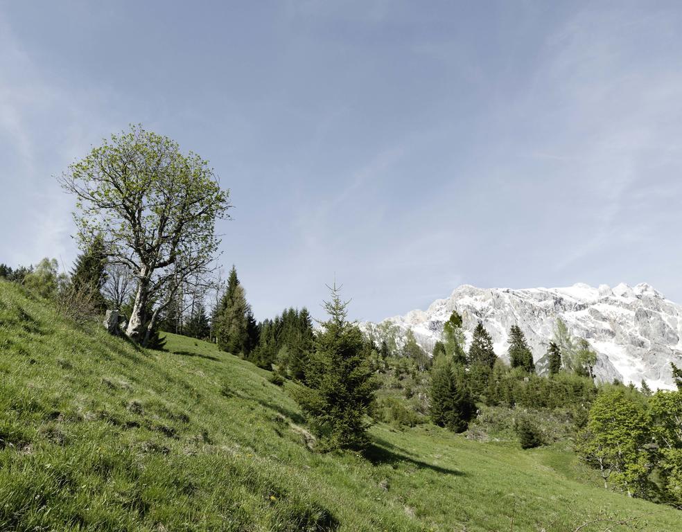 Das Hochkonig Dienten am Hochkönig Exterior foto