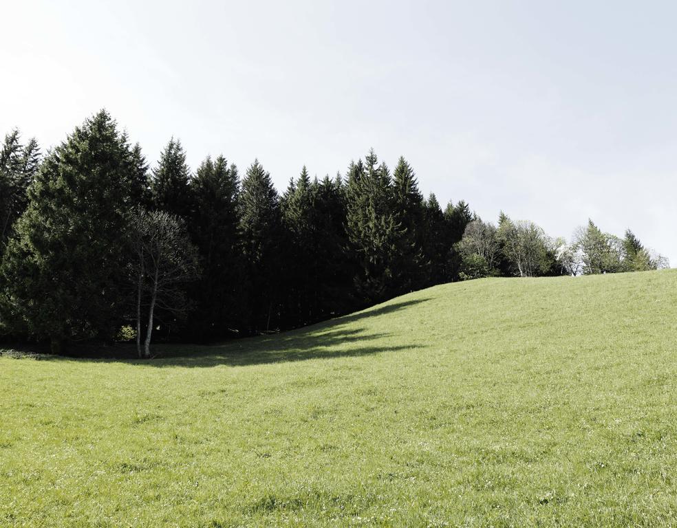 Das Hochkonig Dienten am Hochkönig Exterior foto